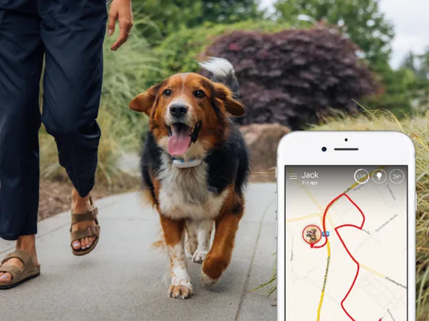 WoofWatch nyomkövető nyakörv