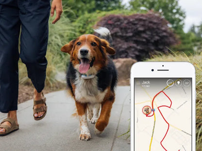 WoofWatch nyomkövető nyakörv